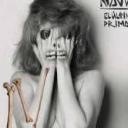 El texto musical COMO UN ANIMAL de NAJWA también está presente en el álbum El ultimo primate
