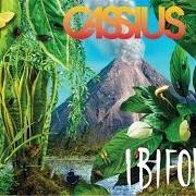 El texto musical BLUE JEAN SMILE de CASSIUS también está presente en el álbum Ibifornia (2016)