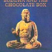 El texto musical READY de CAT STEVENS también está presente en el álbum Buddha and the chocolate box (1974)