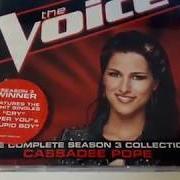 El texto musical STUPID BOY de CASSADEE POPE también está presente en el álbum The voice: the complete season 3 collection (2012)