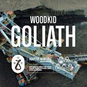 El texto musical SHIFT de WOODKID también está presente en el álbum S16 (2020)
