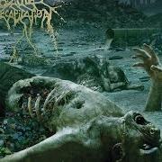 El texto musical KINGDOM OF TYRANTS de CATTLE DECAPITATION también está presente en el álbum The anthropocene extinction (2015)