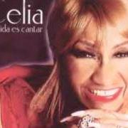 El texto musical AMORES DE UN DIA de CELIA CRUZ también está presente en el álbum Azucar negra (1993)