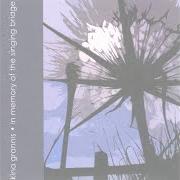 El texto musical ! de KINA GRANNIS también está presente en el álbum In memory of the singing bridge (2006)