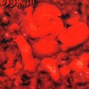 El texto musical PARALYSED, CLITORIDECTAMIMIZED, SPREADEAGLED, MOLESTED CADAVER de CENOTAPH también está presente en el álbum Puked genital purulency (1999)