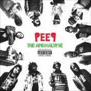 El texto musical LAWNS de PRO.ERA también está presente en el álbum Peep: the aprocalypse (2012)