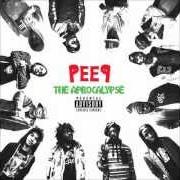 El texto musical START TO FINISH de PRO.ERA también está presente en el álbum Peep: the aprocalypse (2012)