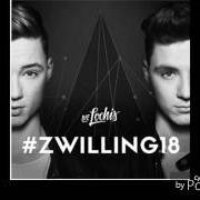 El texto musical MEINE BESTEN de DIE LOCHIS también está presente en el álbum #zwilling18 (2017)