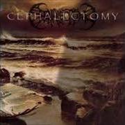 El texto musical OMENS OF ELDER CREATION de CEPHALECTOMY también está presente en el álbum Dark waters rise (1998)