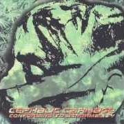 El texto musical WAITING FOR THE MILLENIUM de CEPHALIC CARNAGE también está presente en el álbum Conforming to abnormality (1998)