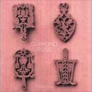 El texto musical HUNGOVER AND HORNY de DIAMOND RUGS también está presente en el álbum Diamond rugs (2012)