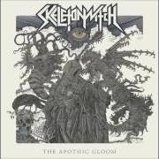 El texto musical BLACK WATERS de SKELETONWITCH también está presente en el álbum The apothic gloom (2016)