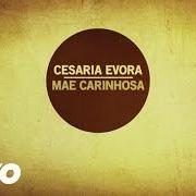 El texto musical NOS CABO VERDE de CESARIA EVORA también está presente en el álbum Mãe carinhosa (2013)