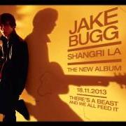 El texto musical PINE TREES de JAKE BUGG también está presente en el álbum Shangri la (2013)