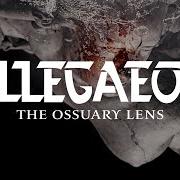 El texto musical THE SWARM de ALLEGAEON también está presente en el álbum The ossuary lens (2025)