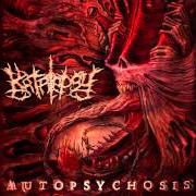 El texto musical EVIDENCE OF NEAR DEATH (E.N.D.) de KATALEPSY también está presente en el álbum Autopsychosis (2013)