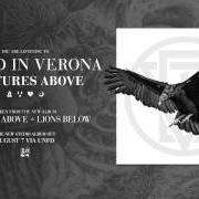 El texto musical LIONS BELOW de BURIED IN VERONA también está presente en el álbum Vultures above, lions below (2015)