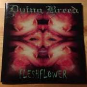 El texto musical FLESHFLOWER de DYING BREED también está presente en el álbum Fleshflower (2000)