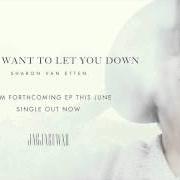 El texto musical TELL ME de SHARON VAN ETTEN también está presente en el álbum I don't want to let you down (2015)