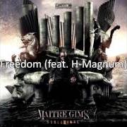 El texto musical FREEDOM de MAÎTRE GIMS también está presente en el álbum Subliminal la face cachée (2013)