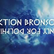 El texto musical C12H16N2 de ACTION BRONSON también está presente en el álbum Only for dolphins (2020)