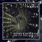 El texto musical PARADOX de SYNTHETIC BREED también está presente en el álbum Fractured - ep (2005)