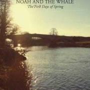 El texto musical STRANGER de NOAH AND THE WHALE también está presente en el álbum The first days of spring