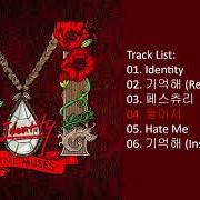 Muses diary, pt. 2 : identity