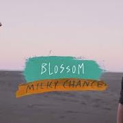 El texto musical COLD BLUE RAIN de MILKY CHANCE también está presente en el álbum Blossom (2017)