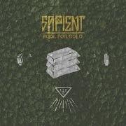 El texto musical CAVE de SAPIENT también está presente en el álbum Fool for gold (2016)