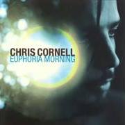El texto musical FLUTTER GIRL de CHRIS CORNELL también está presente en el álbum Euphoria morning (1999)