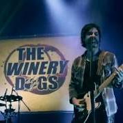 El texto musical ELEVATE de WINERY DOGS también está presente en el álbum Unleashed in japan (2014)