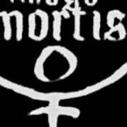 El texto musical SEA OF UNCERTAINTY de IMAGO MORTIS también está presente en el álbum Transcendental (2006)