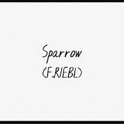 El texto musical SPARROW de THE CAT EMPIRE también está presente en el álbum Sparrow (2021)