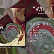 El texto musical THE UNDERTOW de 65DAYSOFSTATIC también está presente en el álbum Wild light (2013)