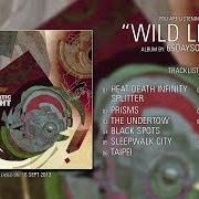 El texto musical PRISMS de 65DAYSOFSTATIC también está presente en el álbum Wild light (2013)