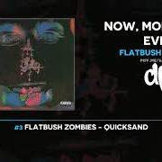 El texto musical DIRTY ELEVATOR MUSIC de FLATBUSH ZOMBIES también está presente en el álbum Now, more than ever (2020)