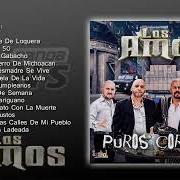 El texto musical CARINITO AMADO de LOS AMOS DE NUEVO LEON también está presente en el álbum Los dos michoacanos (2013)