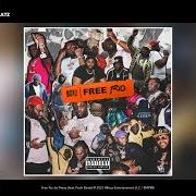 El texto musical FREE RIO de PEEZY también está presente en el álbum Free rio (2021)