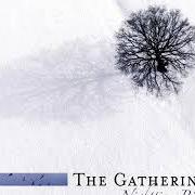 El texto musical CONFUSION de THE GATHERING también está presente en el álbum Nighttime birds (1997)