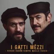 El texto musical CON GLI OCCHI CONTO I PANNI de I GATTI MÉZZI también está presente en el álbum Perchè hanno sempre quella faccia (2016)