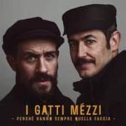 El texto musical I MIEI AMICI NON SI SPOSANO de I GATTI MÉZZI también está presente en el álbum Perchè hanno sempre quella faccia (2016)