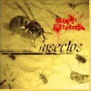 El texto musical SIN RESPIRO de BAJO MÍNIMOS también está presente en el álbum Insectos (2004)