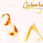 El texto musical CALFSKIN SMACK de COCTEAU TWINS también está presente en el álbum Milk & kisses (1996)