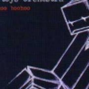 El texto musical 1000 FLAMING DRAGONFLIES de A TOYS ORCHESTRA también está presente en el álbum Cuckoo boohoo (2004)