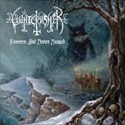El texto musical I WILL NOT FORGET de SKOLD también está presente en el álbum Dark star promo (2010)