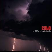 El texto musical WHEN ANGELS FLY AWAY de COLD también está presente en el álbum A different kind of pain (2005)