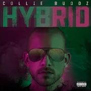 El texto musical TIME FLIES de COLLIE BUDDZ también está presente en el álbum Hybrid (2019)