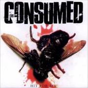 El texto musical BLACK AND BLUE de CONSUMED también está presente en el álbum Hit for six (1999)