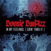 El texto musical BAD GUY de BOOSIE BADAZZ también está presente en el álbum In my feelings. (goin' thru it) (2016)